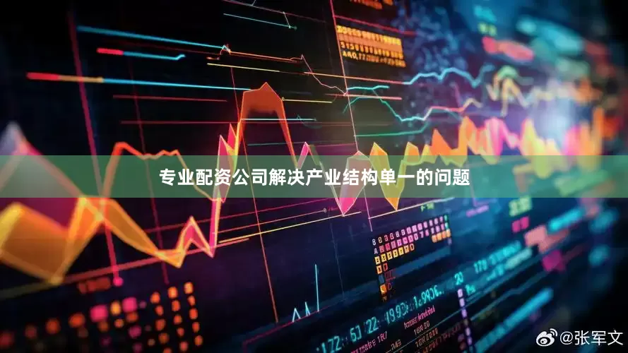 专业配资公司解决产业结构单一的问题