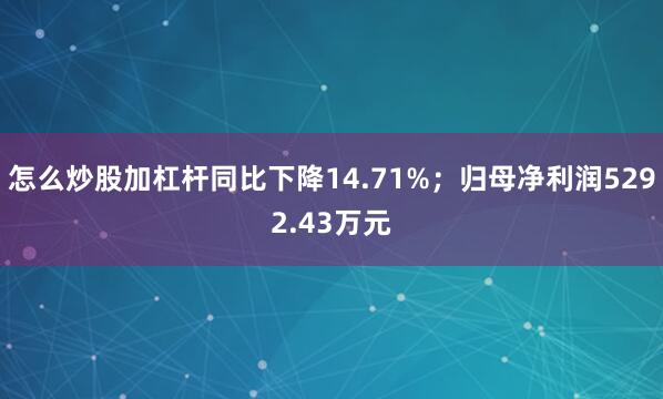 怎么炒股加杠杆同比下降14.71%；归母净利润5292.43万元