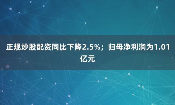 正规炒股配资同比下降2.5%；归母净利润为1.01亿元