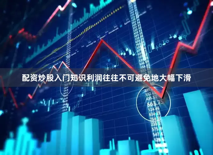 配资炒股入门知识利润往往不可避免地大幅下滑